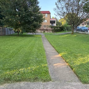 residential landscaping by KCT Landscaping  reviewed on August 7, 2024