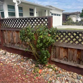 Bush Trimming by GRADE B LLC reviewed on August 16, 2026
