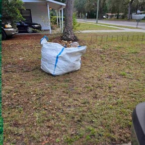 Leaf Removal by DaliaRosa reviewed on January 19, 2026