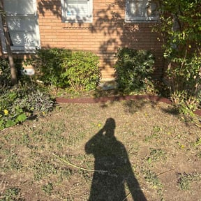 Bush Trimming by DONIT4U Landscaping reviewed on October 22, 2025