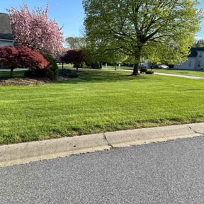 residential landscaping by Stan's Lawns reviewed on August 18, 2025