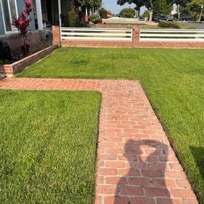 yard work by Unique Landscaping reviewed on May 25, 2024