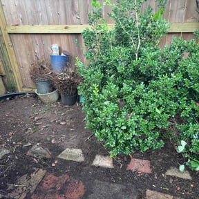 Flower Bed Weeding by Inspire Landscaping, LLC reviewed on July 29, 2026