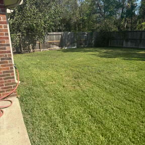 grass maintenance by Southern Scapes Lawn Service reviewed on April 20, 2024