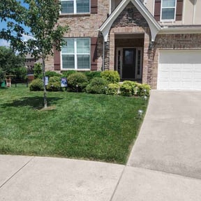 yard work by Anderson's Zombie Lawn & Landscape reviewed on August 16, 2025
