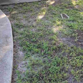 Leaf Removal by S&amp;K Landscaping reviewed on July 13, 2026