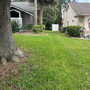 grass cutting by 5280 Lawn Care reviewed on August 15, 2025