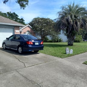 Bush Trimming by Clear landscapes llc reviewed on June 24, 2025