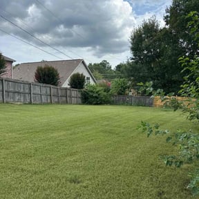 landscaping by E-maculate Lawn  Care LLC reviewed on October 23, 2025