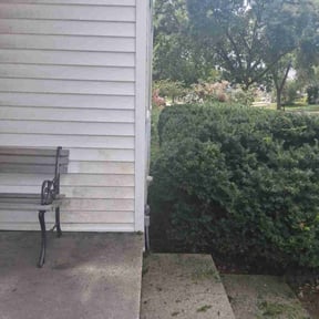 Bush Trimming by AP Landscapers reviewed on November 18, 2025