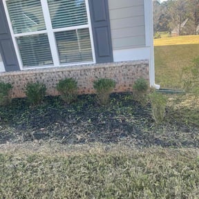 Bush Trimming by Coastal Lawnworx LLC reviewed on January 6, 2026