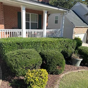 Bush Trimming by Austin Agave Landscaping reviewed on November 9, 2017