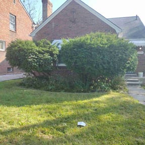 Bush Trimming by Chaplin Lawncare reviewed on August 18, 2025