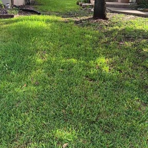 gardening service by Ledezma reviewed on August 14, 2025