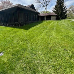 yard service by DMX Lawn &amp; Landscape reviewed on August 30, 2019