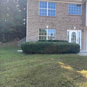 Bush Trimming by 5 Star Lawn Kare LLC reviewed on August 28, 2026
