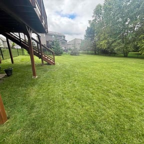 lawn care by Metani landscaping reviewed on August 21, 2025