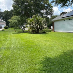 yard care by North West Yard reviewed on August 20, 2025
