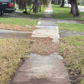 Leaf Removal by EDGED TO PERFECTION LLC reviewed on August 18, 2026