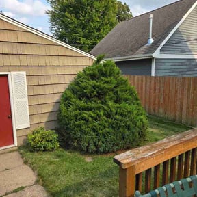 Bush Trimming by Simply Landscaping reviewed on August 24, 2026