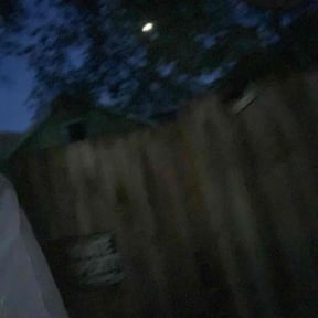 Leaf Removal by S&amp;T reviewed on November 10, 2025