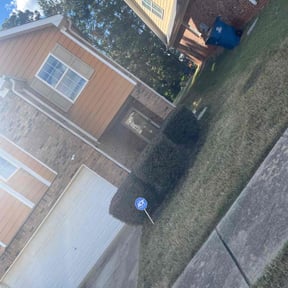 Bush Trimming by Much Obliged Lawn Care reviewed on November 20, 2025