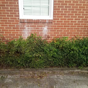 Bush Trimming by KK&amp;S LAWN CARE reviewed on April 29, 2023