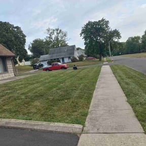 lawn care services by DaGreat Cleaners LLC reviewed on July 8, 2025