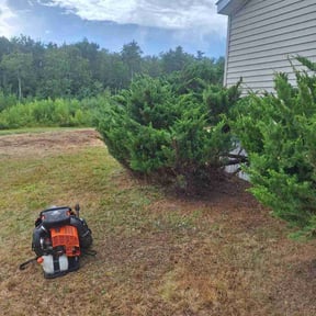 Bush Trimming by Joe's Lawn Care reviewed on July 15, 2022