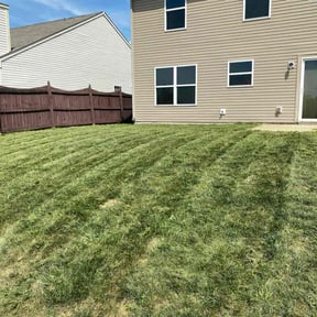 grass cutting by All Pro Lawn Services LLC reviewed on April 6, 2024