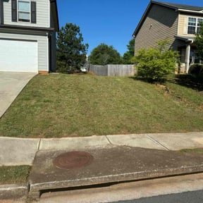 lawn care by Tommy's Mowing Services WV,VA,&amp;Md reviewed on July 31, 2025