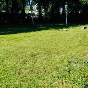 lawn maintenance by K-Kleaners LLC reviewed on August 21, 2025