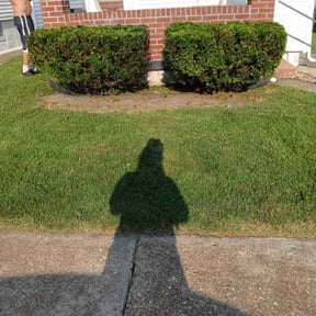 Bush Trimming by Tri Stars landscaping and Snow Services LLC reviewed on August 15, 2025