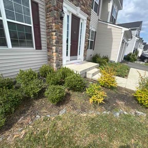 Flower Bed Weeding by Trim My Yard reviewed on May 4, 2026