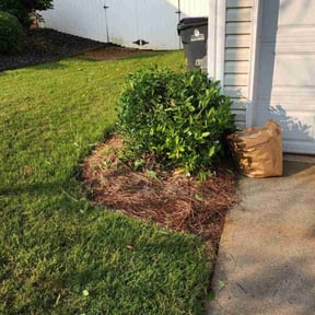 Bush Trimming by GetMore services reviewed on August 15, 2025