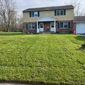 yard care by Laupola's Landscaping reviewed on August 18, 2025
