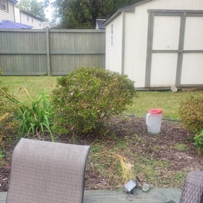 Bush Trimming by Álvarez Landscaping & Remodeling LLC reviewed on August 13, 2025