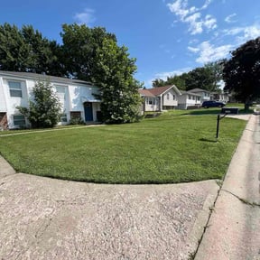 grass cutting by Value Lawn Care reviewed on August 13, 2025
