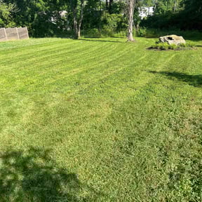 turf care by 3DM reviewed on May 31, 2024