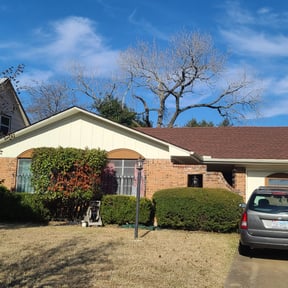 Bush Trimming by Hill Lawn Service reviewed on November 22, 2025