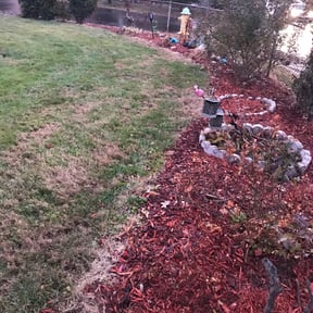 Leaf Removal by Hughes inc. reviewed on September 14, 2025