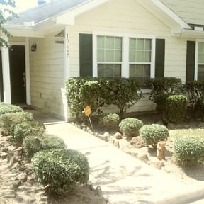 Bush Trimming by Graceful Garden Lawn Care llc reviewed on August 17, 2025