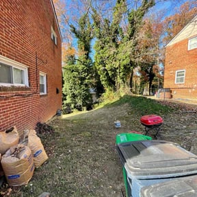 Leaf Removal by M&amp;D lawn care L.L.C reviewed on November 24, 2025