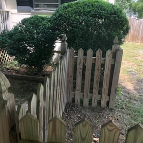 Bush Trimming by C.K. Lawn & Maintenance reviewed on August 15, 2025