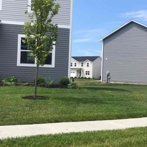 yard service by Var Landscape reviewed on March 15, 2023