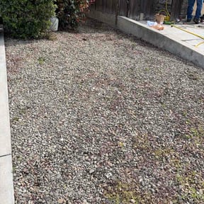 Flower Bed Weeding by Herbaloutions reviewed on November 8, 2022