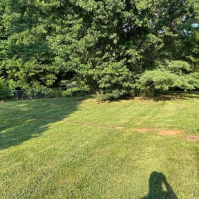 lawn service by Sage Landcrafters reviewed on April 17, 2024