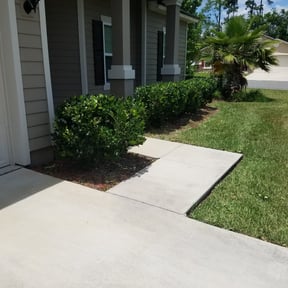 Bush Trimming by Young's Lawn Care Services reviewed on August 15, 2025