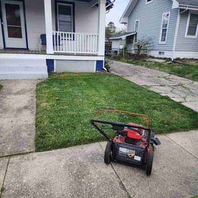 Leaf Removal by Rjm reviewed on September 29, 2025