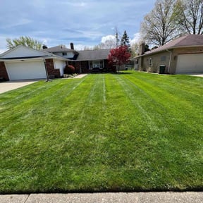 yard maintenance by Amazing Grass Lawn Service reviewed on November 23, 2025